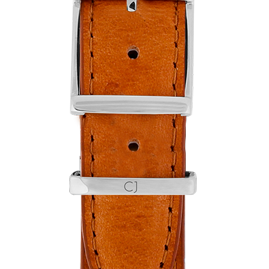 #Colour_Tan Leather